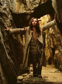 Sirius poa