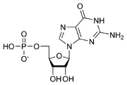 800px-GMP chemical structure