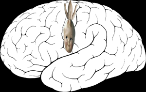 Homunculus sensory