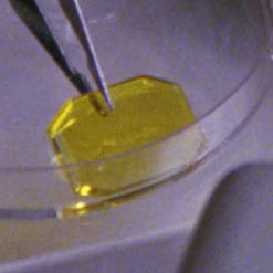 Proximity detector
