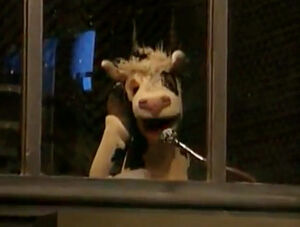 Cow announcer