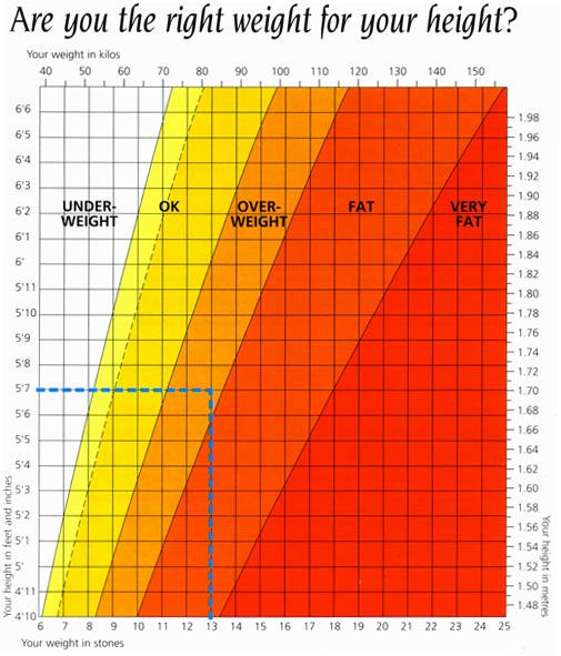 Body Mass Index Psychology Wiki