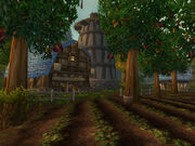 Hillsbrad Fields