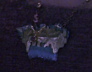 Anna's necklace