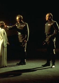 Motti standing