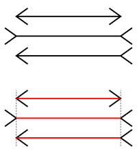 Müller-Lyer illusion
