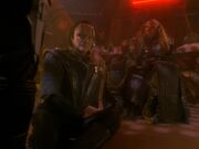 Garak als Haustier
