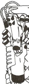 Gun