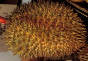 Durian