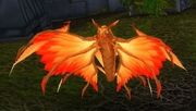 Amani Dragonhawk