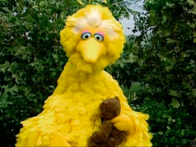 sesame street big bird's teddy bear