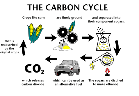 Carboncycle