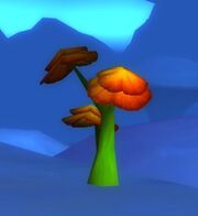 Bogblossom