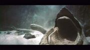 Sandworms