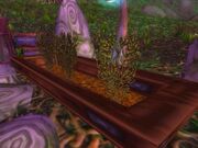 Sprouted Frond