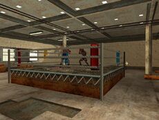 Gimnasio LV2