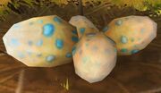 Mysterious Egg