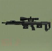 Dsr1
