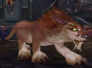 Halazzi (Lynx)