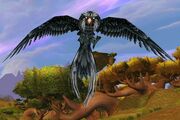 Windroc Matriarch