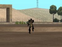 Lagarto Ninja