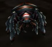 Borer Beetle