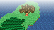 Matoya's Cave - WM
