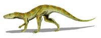 Hesperosuchus BW