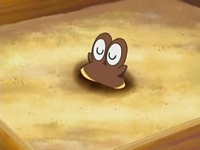 EP513 Hippopotas enterrado en arena hasta los ojos