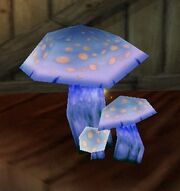 Infused Mushroom