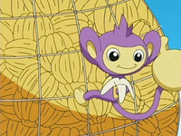 EP491 Aipom comiendo un plátano