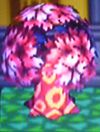 Pink Tree