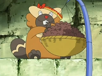 EP526 Bibarel comiendo