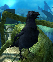 Crow Dreamfall GuardiansRealm