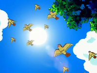 EP542 Pidgey