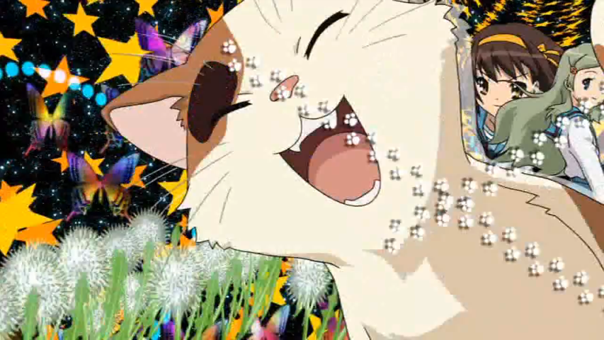 Shamisen Haruhi Wiki