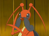 EP518 Kricketune frotando sus cuchillas