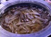 Vermicula