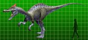 Irritator