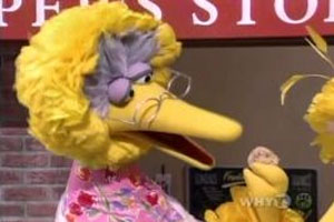 Grannybird