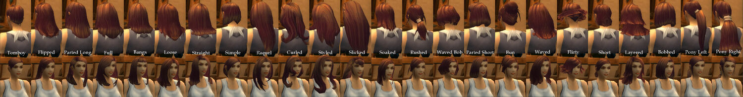 Human Female Hairstyles