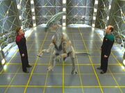 Janeway und der Doktor betrachten einen Dinosaurier
