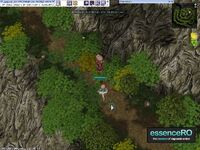 White Rider-wideshot