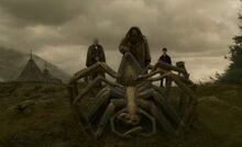 Aragog's funeral 2