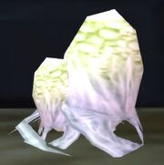 Spiky Spider Egg