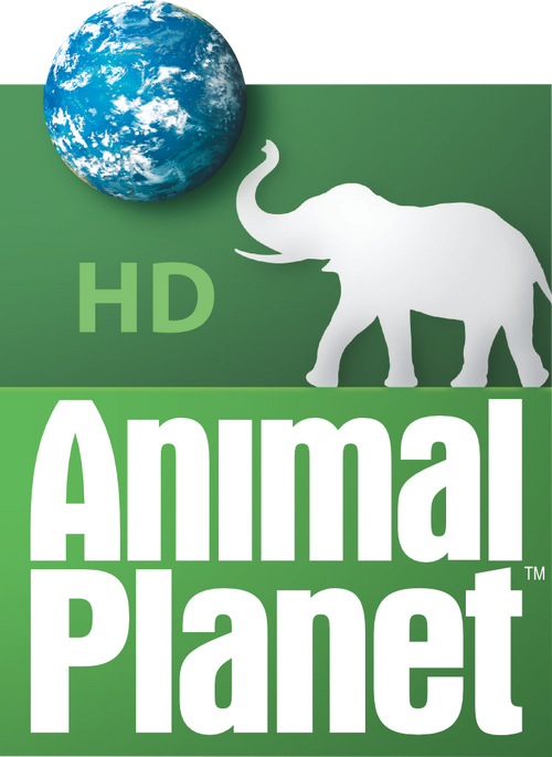 Animal Planet HD (United States) - Logopedia, the logo and branding site