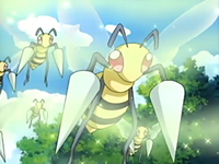 EP440 Beedrill tranquilizado