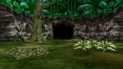 Woods of Mystery