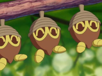 EP304 Seedot (4)