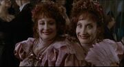 Amor twins